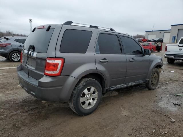 2009 Ford Escape Limited