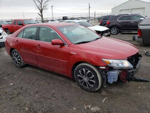 2010 Toyota Camry Hybrid