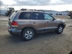 2006 Hyundai Santa FE GLS