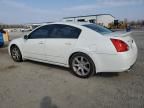 2008 Nissan Maxima SE