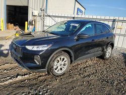 Salvage cars for sale at Memphis, TN auction: 2024 Ford Escape Active