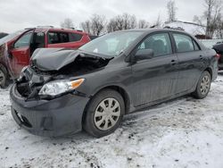 Toyota salvage cars for sale: 2011 Toyota Corolla Base