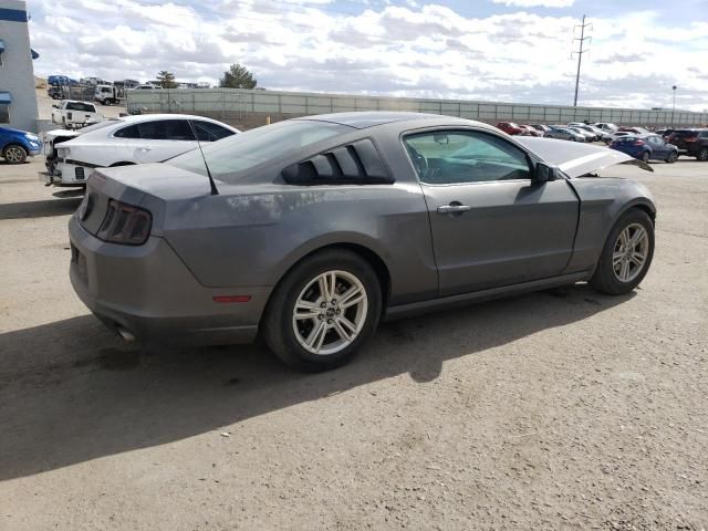 2013 Ford Mustang