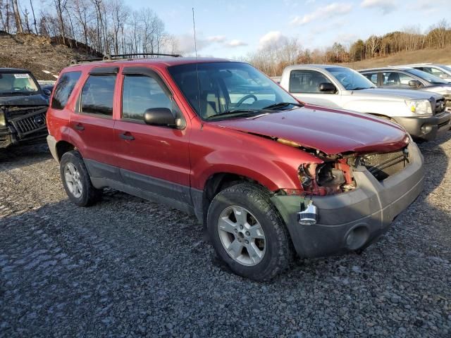 2005 Ford Escape XLT