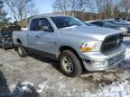 2010 Dodge RAM 1500