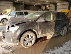 Salvage cars for sale at Greenwood, NE auction: 2011 Ford Edge Limited