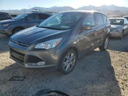 Salvage cars for sale at Magna, UT auction: 2013 Ford Escape SEL