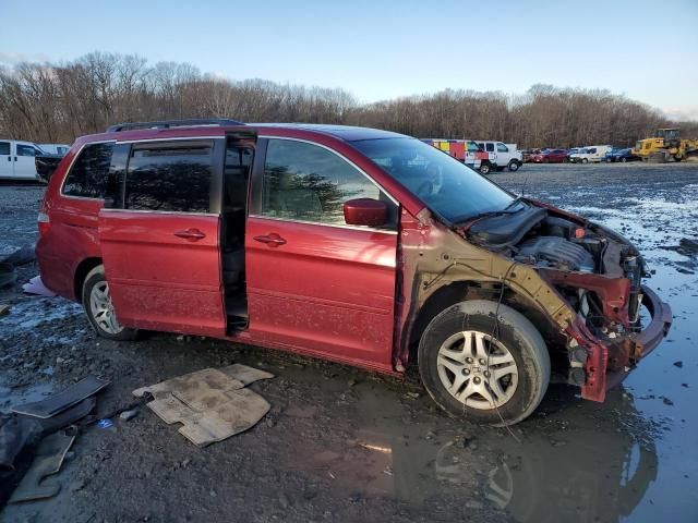 2005 Honda Odyssey EXL