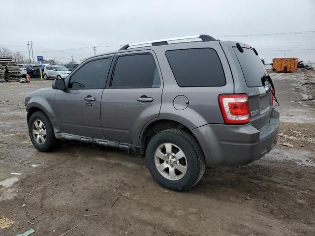 2009 Ford Escape Limited