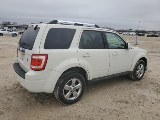 2011 Ford Escape Limited