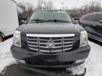 2008 Cadillac Escalade Luxury