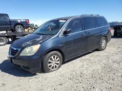 Salvage cars for sale at Lumberton, NC auction: 2008 Honda Odyssey EXL