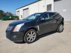 2012 Cadillac SRX Premium Collection