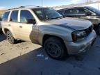 2007 Chevrolet Trailblazer LS