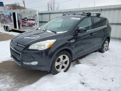 2014 Ford Escape SE en venta en Ham Lake, MN