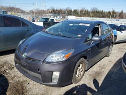 Salvage cars for sale at Baltimore, MD auction: 2010 Toyota Prius