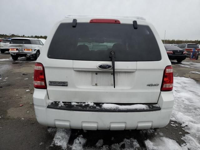 2009 Ford Escape XLT