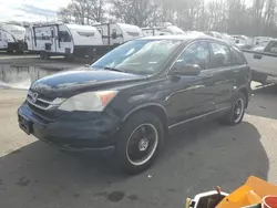 Honda Vehiculos salvage en venta: 2010 Honda CR-V LX