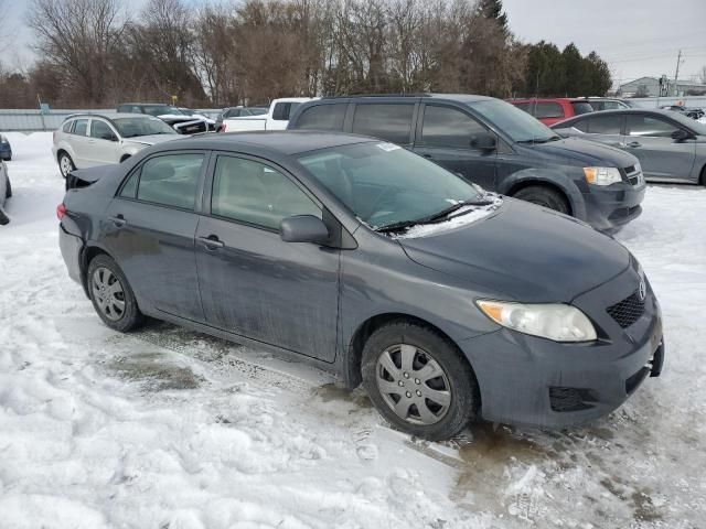 2009 Toyota Corolla Base