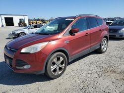 2014 Ford Escape SE en venta en Lumberton, NC