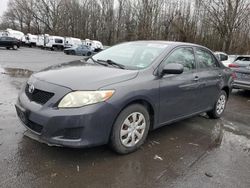 Salvage cars for sale at Glassboro, NJ auction: 2009 Toyota Corolla Base