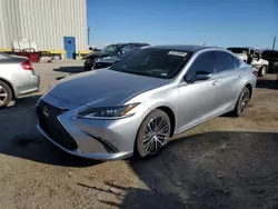 Salvage cars for sale at Tucson, AZ auction: 2022 Lexus ES 300H Base