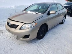 Salvage cars for sale at Montreal Est, QC auction: 2010 Toyota Corolla Base