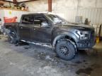 2019 Ford F150 Raptor