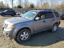 Ford salvage cars for sale: 2008 Ford Escape XLT