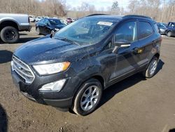 Salvage cars for sale at East Granby, CT auction: 2019 Ford Ecosport SE