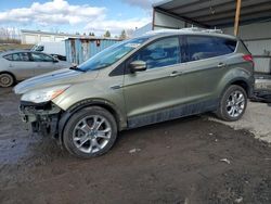 2013 Ford Escape SEL en venta en Pennsburg, PA