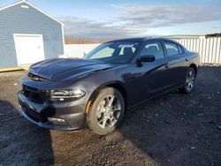 Dodge salvage cars for sale: 2016 Dodge Charger SXT