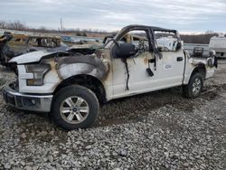 Salvage trucks for sale at Earlington, KY auction: 2016 Ford F150 Supercrew