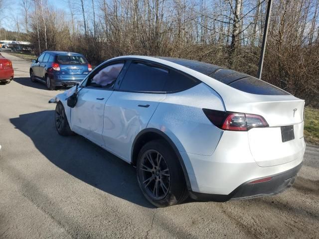 2025 Tesla Model Y