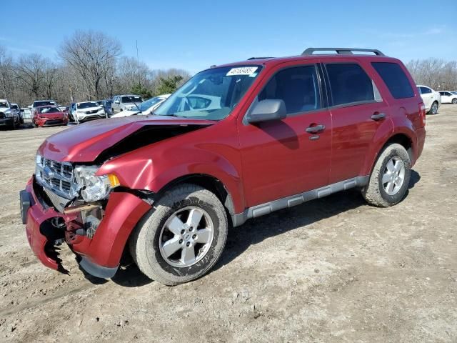 2009 Ford Escape XLT