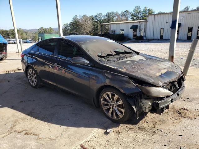 2013 Hyundai Sonata SE