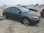 2008 Scion TC