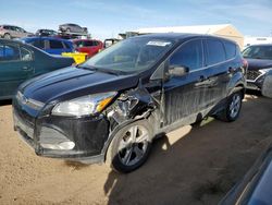 2016 Ford Escape SE en venta en Brighton, CO