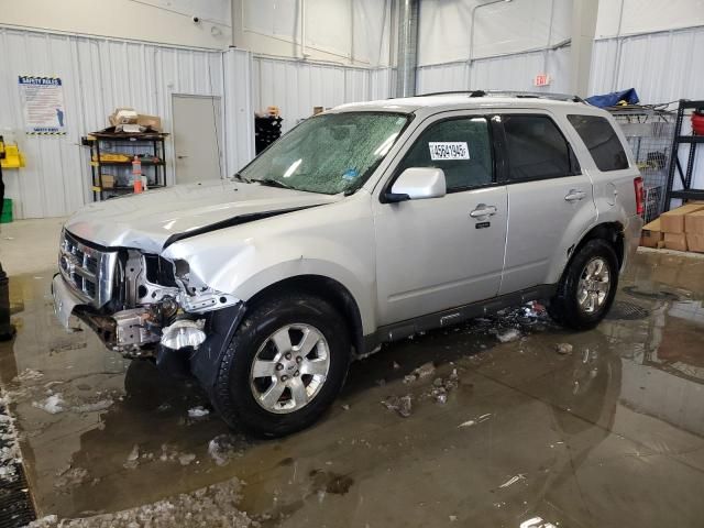 2011 Ford Escape Limited