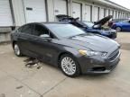 2016 Ford Fusion SE Hybrid