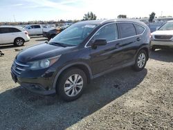 Salvage cars for sale at Antelope, CA auction: 2013 Honda CR-V EXL