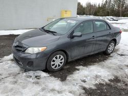 Salvage cars for sale from Copart Cookstown, ON: 2013 Toyota Corolla Base