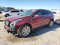 Salvage cars for sale at Harleyville, SC auction: 2020 Cadillac XT5 Premium Luxury