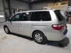 2006 Honda Odyssey EXL