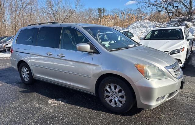 2008 Honda Odyssey EXL