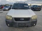 2007 Ford Escape XLT