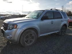 2010 Ford Escape XLT en venta en Duryea, PA