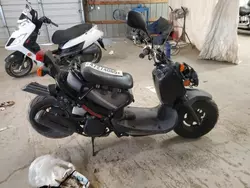 Salvage motorcycles for sale at Madisonville, TN auction: 2018 Honda NPS50