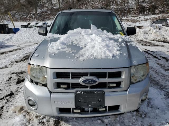 2010 Ford Escape Hybrid