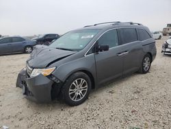 Salvage cars for sale at Temple, TX auction: 2012 Honda Odyssey EX